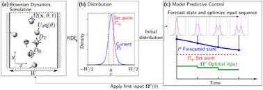 Model predictive control of non-interacting active Brownian particles†