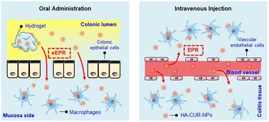 Hyaluronic acid-functionalized nanoparticles for ulcerative colitis-targeted therapy: a comparative study of oral administration and intravenous injection†