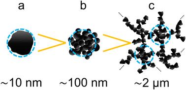 Revealing microscale bulk structures in polymer–carbon nanocomposites using spin-echo SANS