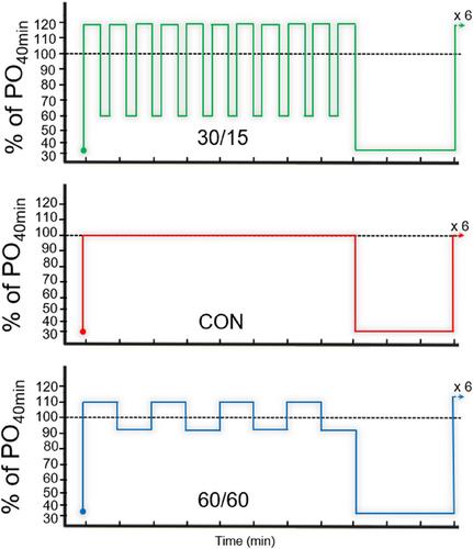 The higher oxygen consumption during multiple short intervals is sex-independent and not influenced by skeletal muscle characteristics in well-trained cyclists