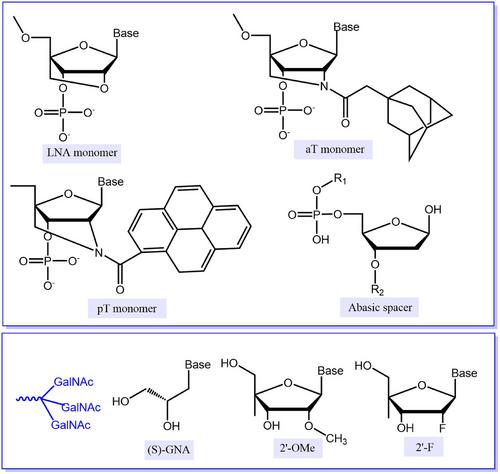 Unlocking the Potential of Chemically Modified Nucleic Acid Therapeutics