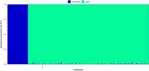 Crossing the Pacific: Genomics Reveals the Presence of Japanese Sardine (Sardinops melanosticta) in the California Current Large Marine Ecosystem