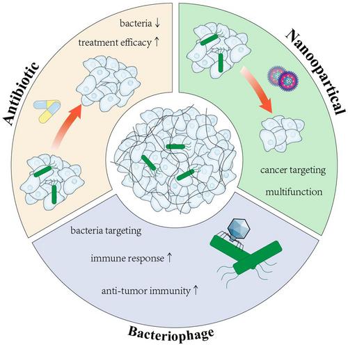 Intratumoral microbiota as cancer therapeutic target