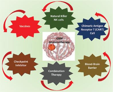 Combinatory Immunotherapy for Glioblastoma Treatment