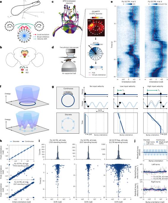 Maintaining and updating accurate internal representations of continuous variables with a handful of neurons