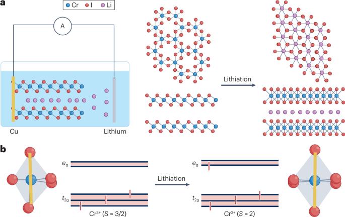 2D magnets filled with lithium