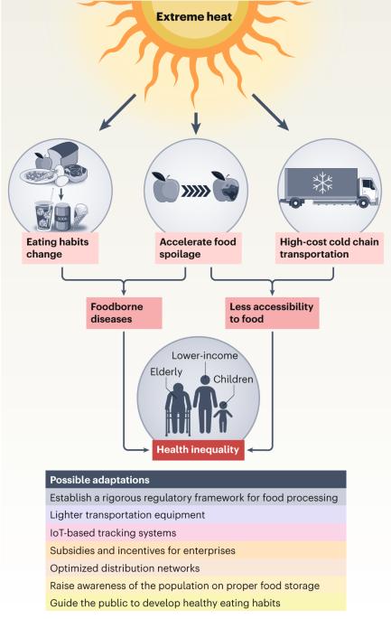 Extreme heat disproportionately exacerbates health issues by threatening fresh food supply