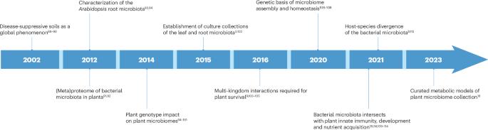 Community standards and future opportunities for synthetic communities in plant–microbiota research