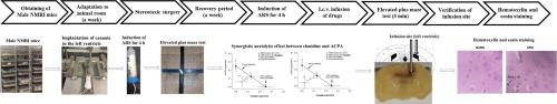 Synergistic interaction between clonidine and ACPA on the modulation of anxiety-like behaviors in non-acute restraint stress and acute restraint stress conditions