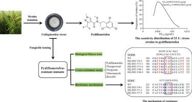 Resistance risk and mechanism of Ustilaginoidea virens to pydiflumetofen