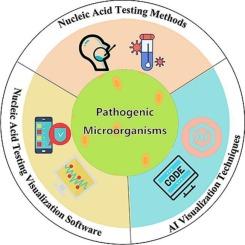 AI-empowered visualization of nucleic acid testing