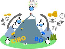 Cost-informed Bayesian reaction optimization†