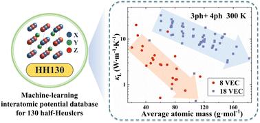 HH130: a standardized database of machine learning interatomic potentials, datasets, and its applications in the thermal transport of half-Heusler thermoelectrics†