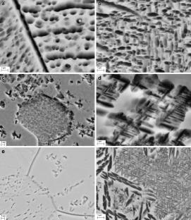 Control of the structure and mechanical properties of metastable β-titanium alloy VT47 by combined thermomechanical processing methods