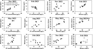 Positive linear relationship between phytoplankton diversity and productivity in an artificial reef ecosystem