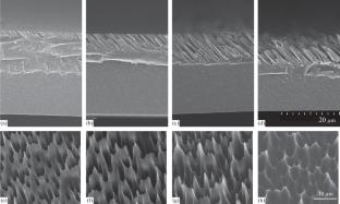 Studying the Feasibility of Creating Anisotropic Highly Hydrophobic Polymer Surfaces by Ion-Track Technology