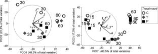 Primary colonization and small-scale dynamics of non-indigenous benthic species: a case study