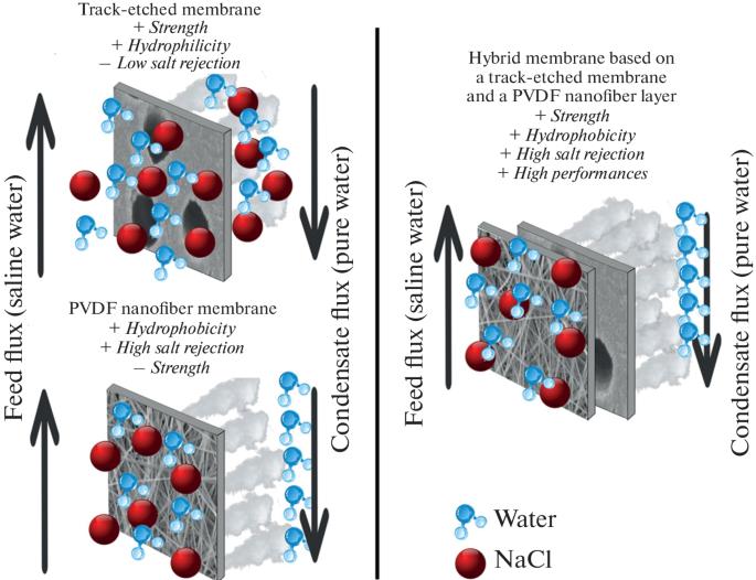 Formation of Hybrid Membranes for Water Desalination by Membrane Distillation