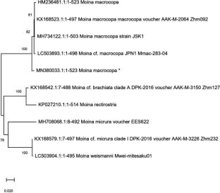 Report on high density population of a Cladoceran, Moina macrocopa and their gut microbes in anoxic sewage water: a potential bio-indicator of aquatic pollution