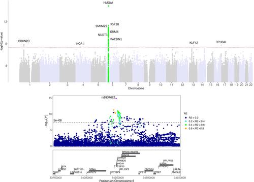 A meta-analysis and polygenic score study identifies novel genetic markers for waist-hip ratio in African populations