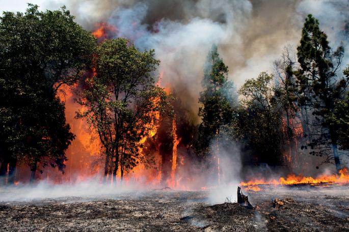 Fires jeopardize world’s carbon sinks