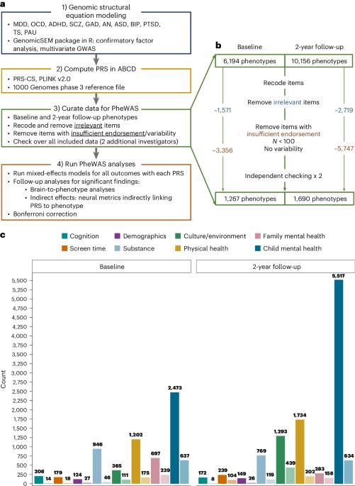 A phenome-wide association study of cross-disorder genetic liability in youth genetically similar to individuals from European reference populations