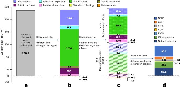 Human management has a crucial role in China’s land carbon balance