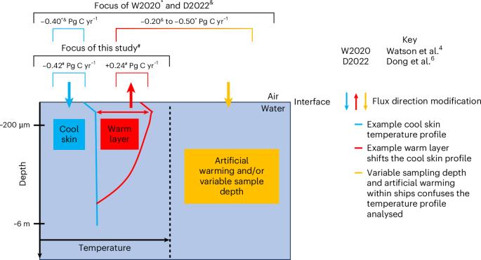 Enhanced ocean CO2 uptake due to near-surface temperature gradients