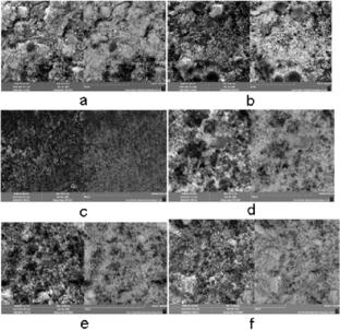 Influence of Particle Sizes of Zinc and Titanium Oxides on Their Activity in Metronidazole Photocatalytic Oxidative Degradation in Water