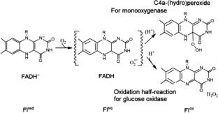 Spin-Orbit Interaction During the Activation of Molecular Oxygen by Oxidases and Cofactor-Free Oxygenases: A Review