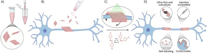 Light-induced rolling of azobenzene polymer thin films for wrapping subcellular neuronal structures