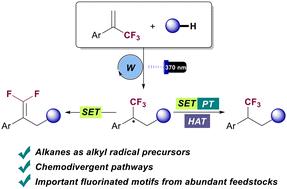 Chemodivergent alkylation of trifluoromethyl alkenes via photocatalytic coupling with alkanes†