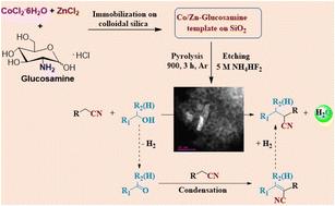 Reusable Co-catalysts for general and selective α-alkylation of nitriles with alcohols†