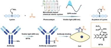 Photocatalytic acylation of lysine screened using a microfluidic-based chemical robotic system†