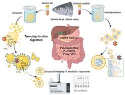 In vitro gastrointestinal digestion of marine oil emulsions and liposomal solutions: fate of LC-PUFAs upon lipolysis