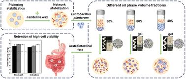 Development of Pickering water-in-oil emulsions using a dual stabilization of candelilla wax and acylated EGCG derivatives to enhance the survival of probiotics (Lactobacillus plantarum) powder†