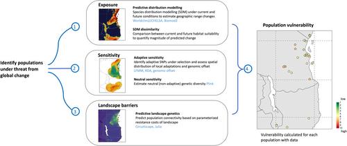 Life on the edge: A new toolbox for population-level climate change vulnerability assessments