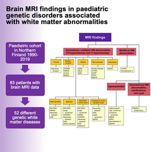 Brain MRI findings in paediatric genetic disorders associated with white matter abnormalities