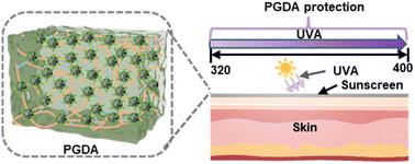 Poly-γ-glutamic acid/melanin-like hydrogel as an efficient UVA protection and antioxidative enhancer for preventing and treating UVA-induced skin damage†