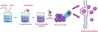 Development, structural characterization, in vitro release and oral bioavailability studies of novel surface-modified natural Fiber Interlaced Liposomal Vitamin C†