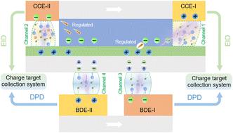 Charge target collection from different triboelectrification domains by electrostatic induction and polarization enabled air discharges†