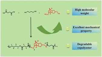 Synthesis of degradable polyester with high molecular weight and excellent mechanical properties through copolymerization modification of poly(butylene succinate)†