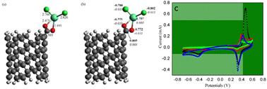 Experimental and theoretical studies of a novel europium decorated carbon nanotube material: investigation of cytotoxicity, electrocatalytic properties, and corrosion inhibition behaviour on Mg AZ31 alloy in 3.5% NaCl environment