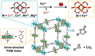 Imine bond-directed assembly of polyoxometalate-based metal–organic frameworks†