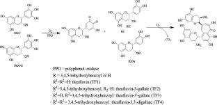 Unveiling the effect of leaf maturity on biochemical constituents and quality of CTC black tea: insights from Northeast India’s commercial cultivars