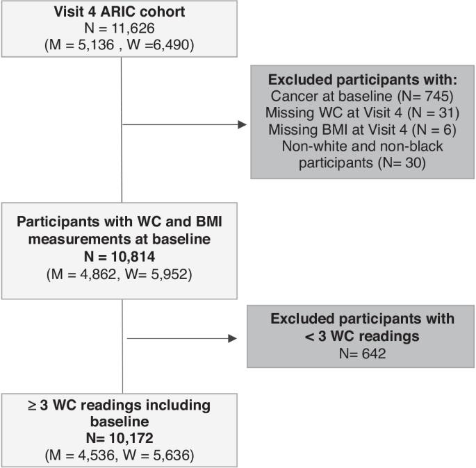 Waist circumference-years and cancer risk: a prospective study of the association and comparison of predictive performance with waist circumference and body mass index