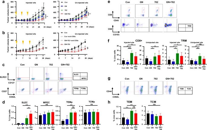 Author Correction: Long-term activation of anti-tumor immunity in pancreatic cancer by a p53-expressing telomerase-specific oncolytic adenovirus