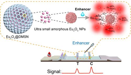 Long-Term Stable Eu2O3-Loaded Dendritic Mesoporous Silica Nanoprobes with Coordination-Enhanced Photoluminescence for Ultrasensitive Lateral Flow Immunoassay