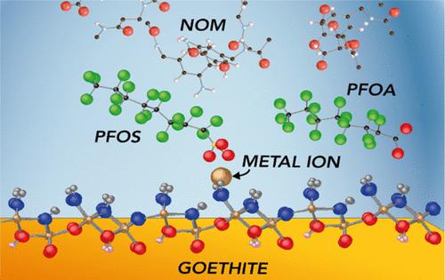 Heavy-Metal Ions Control on PFAS Adsorption on Goethite in Aquatic Systems