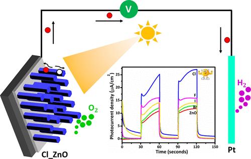 Hydrothermally Grown Halogen-Doped ZnO Nanorods for Photoelectrochemical Water Oxidation: Experimental and DFT Insights